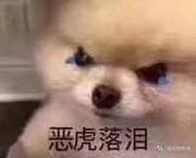 Yoo的个人资料头像