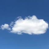 梦佳6875头像