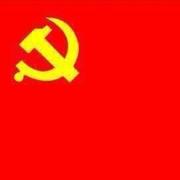 Orangutan的个人资料头像