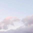 没有如果的个人资料头像