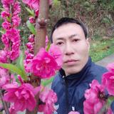 軍头像