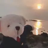 奉天玉堂头像