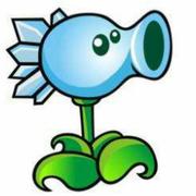 用户90542176457的个人资料头像