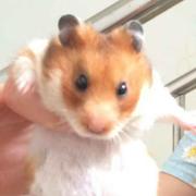 1473654732498的个人资料头像