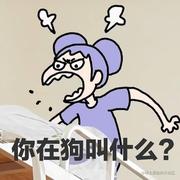 野棕榈的个人资料头像