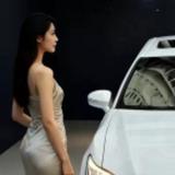 坦荡的小猫lEl头像