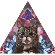 monkeybobby的个人资料头像