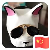 嗨哥伦布668头像