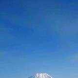 明天会更好221268719头像