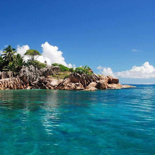 最新互联咖1头像