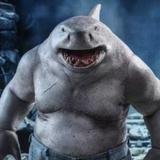 KingSharkWho头像