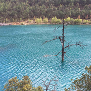 用户名不能为空的个人资料头像