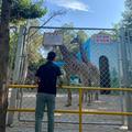 DinGxIAnG头像