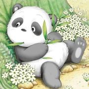 忠航的个人资料头像