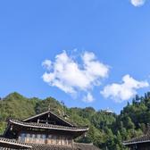 可靠叶子oJ3头像