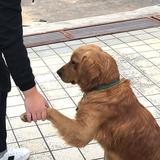 至少曾經擁有過头像