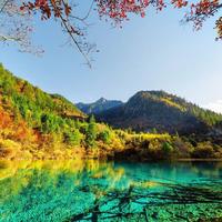 风度翩翩的诗与远方头像