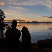 AHh的个人资料头像