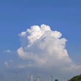 盛夏哟头像