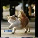 maybexy_的个人资料头像