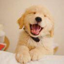 侯文华的个人资料头像