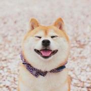 何以庆余年的个人资料头像