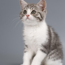 HW同志77743的个人资料头像