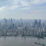 楼艾尔文头像