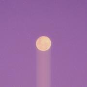 代攀虹的个人资料头像