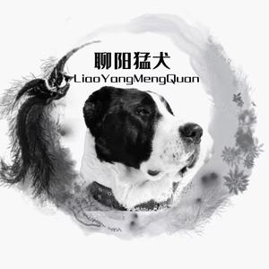 聊阳猛犬阿雷头像