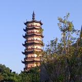 执着的百香果ro头像