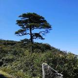 我姓李却不在你心里头像