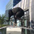 六弦一品的个人资料头像