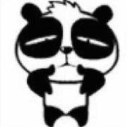 xz的个人资料头像