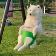 干了一瓶小木屋的个人资料头像