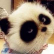 用户2759386608338的个人资料头像