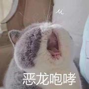 _小郑有点困了的个人资料头像
