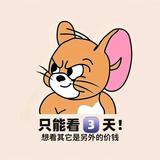 俊俏喜鹊8dl头像