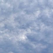 极简733的个人资料头像