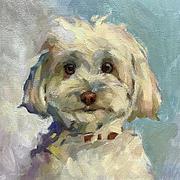 小袁啥也不会的个人资料头像