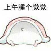 炒粉不加蛋的个人资料头像