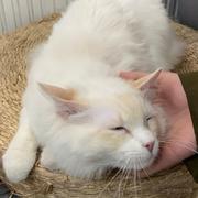 掘金LCC的个人资料头像