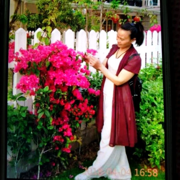 绘妍音乐分享头像