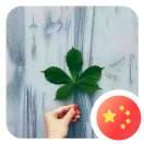 无光末阳的个人资料头像