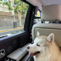 用户822202524367头像