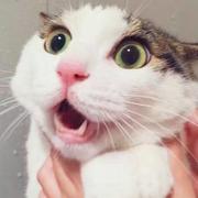 咣咣咣的个人资料头像