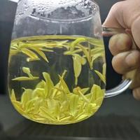 小赵小赵JS头像