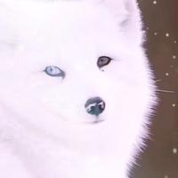 十月197808380头像