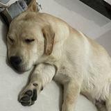 想买x5的纠结狂头像