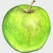 malizhi的个人资料头像